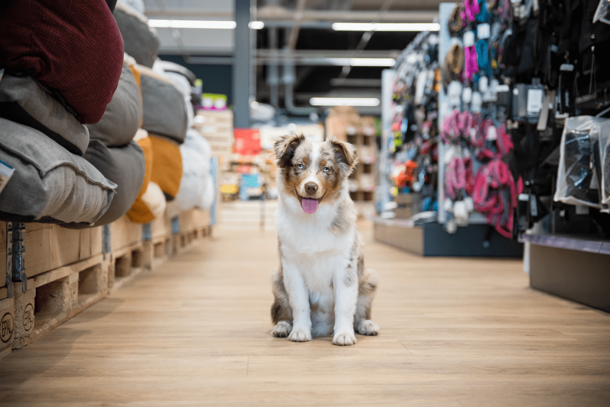 Lõunakeskuse PetCity puhastusteenindaja