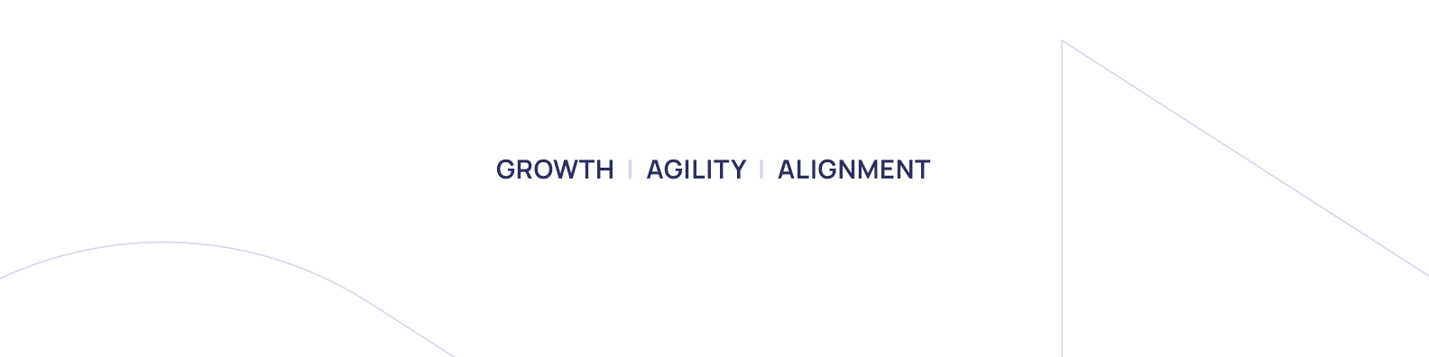 Sales Project manager