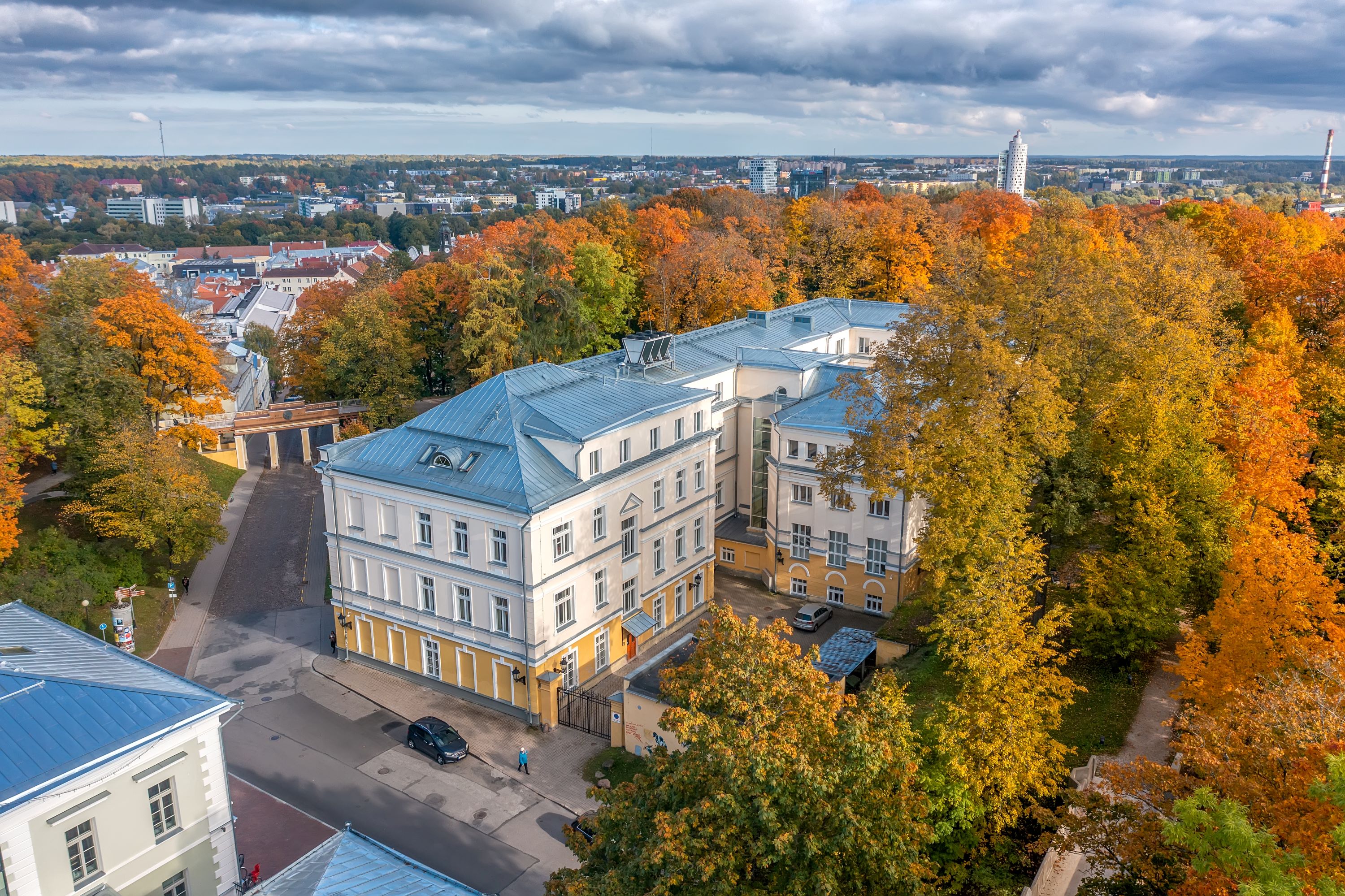 Õpetamisoskuste konsultant