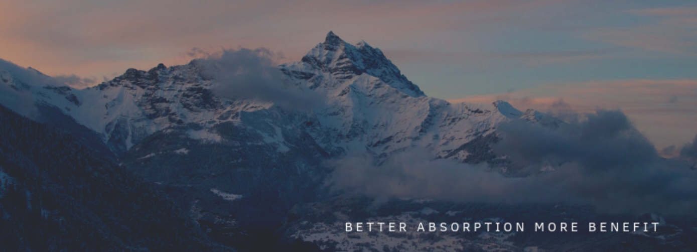 Ekspordi müügiesindaja