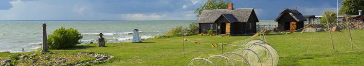 TEHNOVÕRKUDE SPETSIALIST