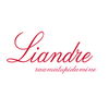 Liandre Raamatupidamisteenused OÜ