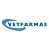 B2B Sales Manager