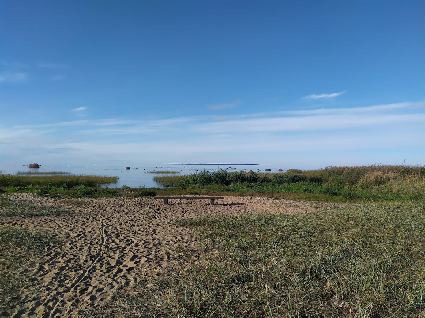 Eripedagoog