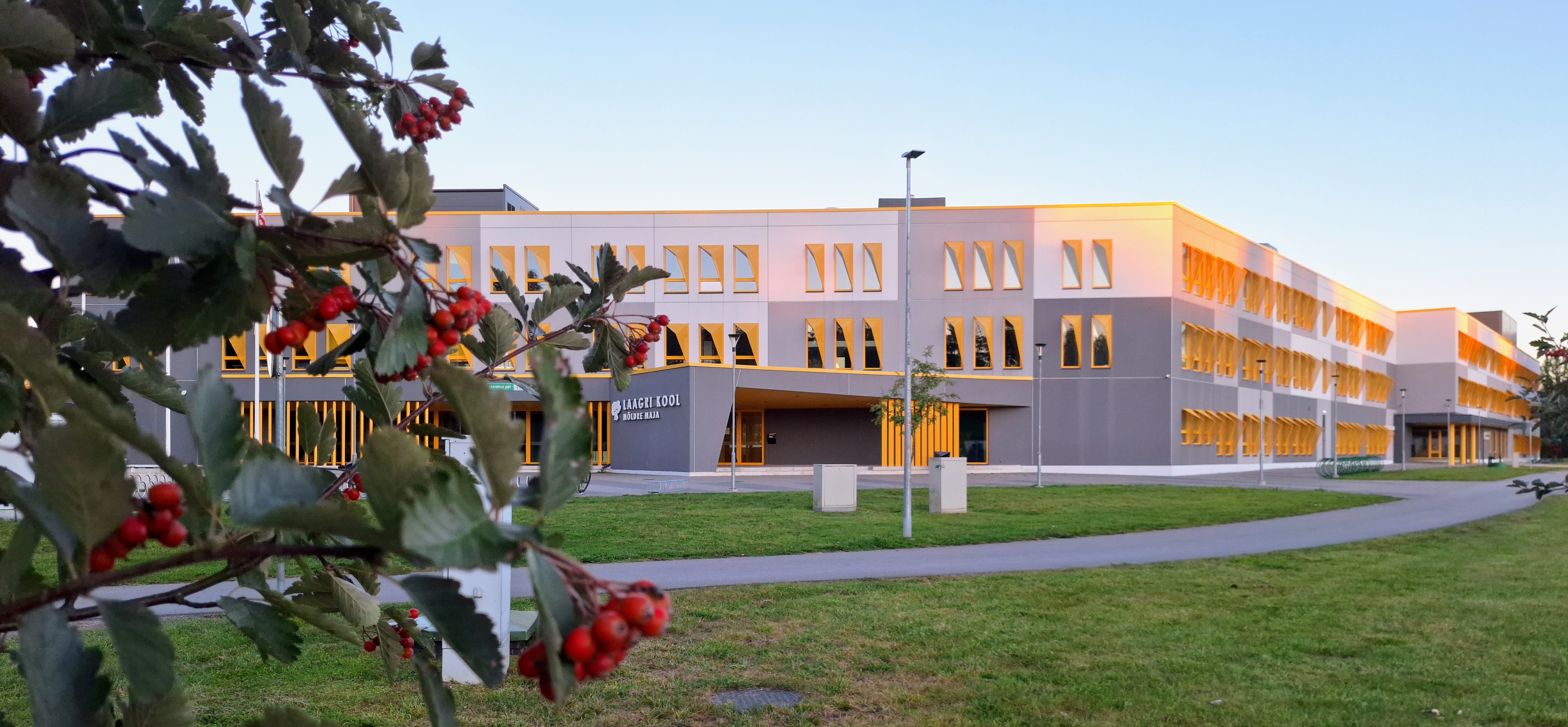 Raamatukoguhoidja (Laagri Kooli Möldre maja)