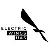 Lennutegevuse juht (Flight Operations Manager)