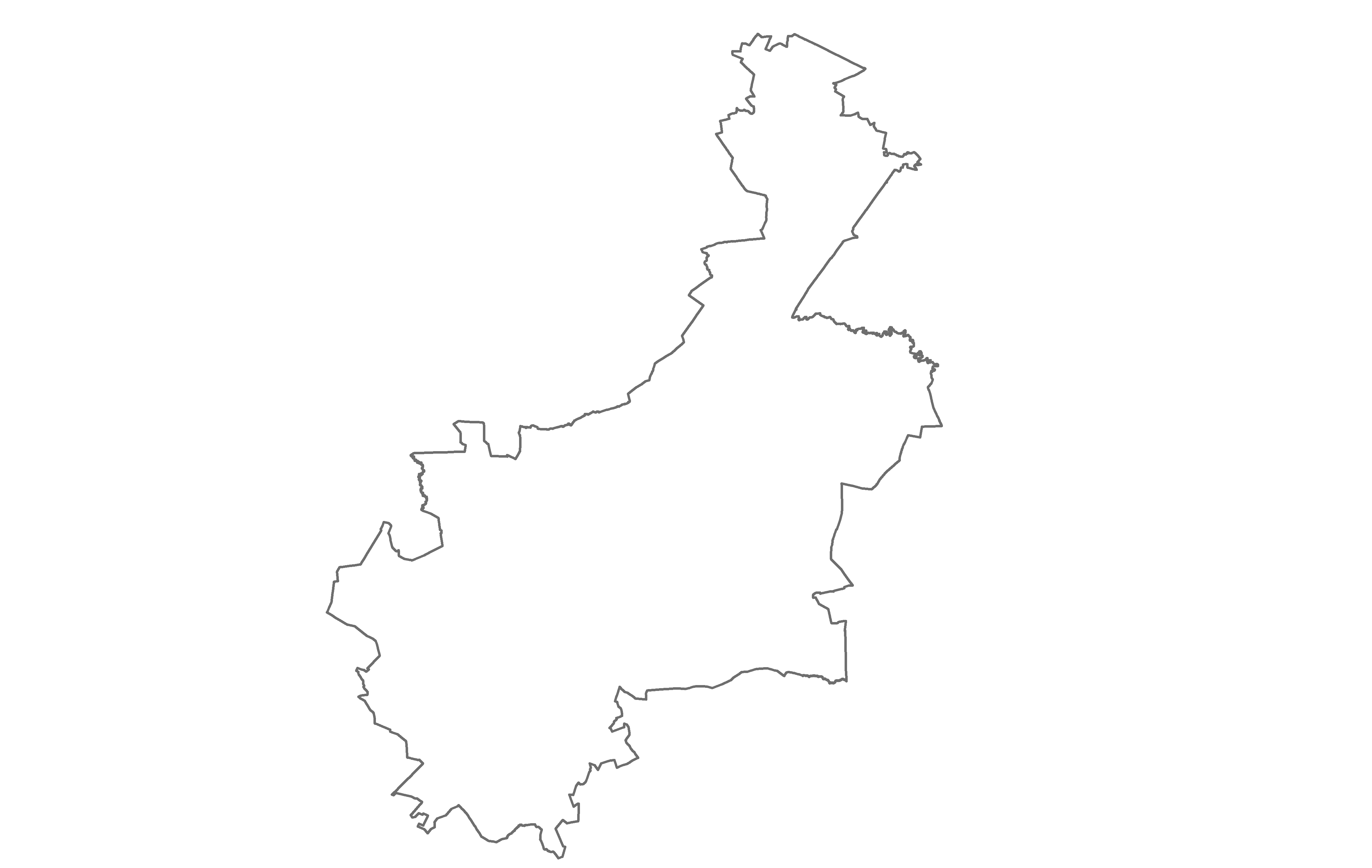 Tegevjuht