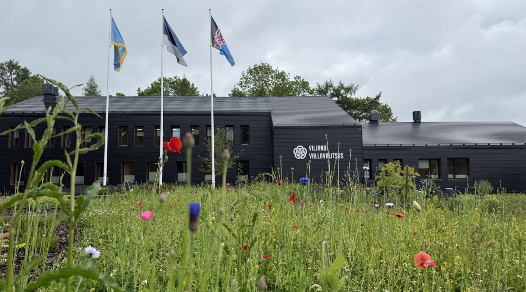 Planeeringute peaspetsialist