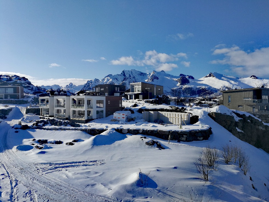 Puitmajade ehituse projektijuht