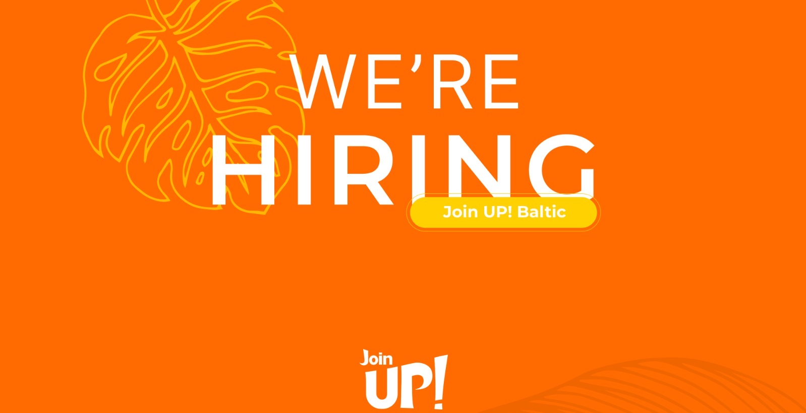 Sales and development manager