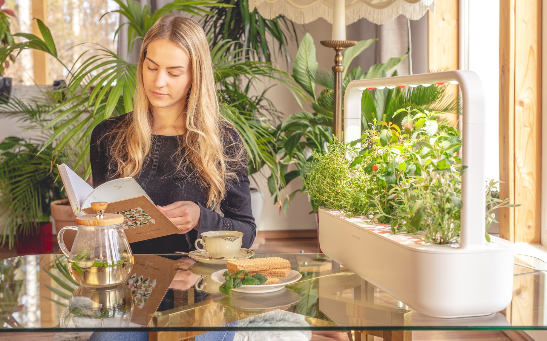 Raamatupidaja - maksuarvestus (lapsehoolduspuhkuse asendaja)