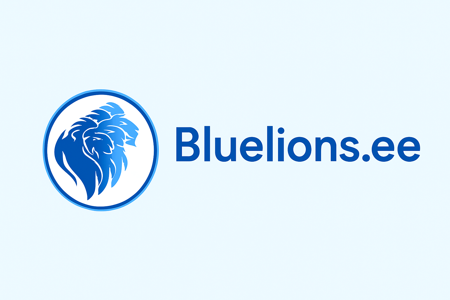 Backend Developer – Java Spring
