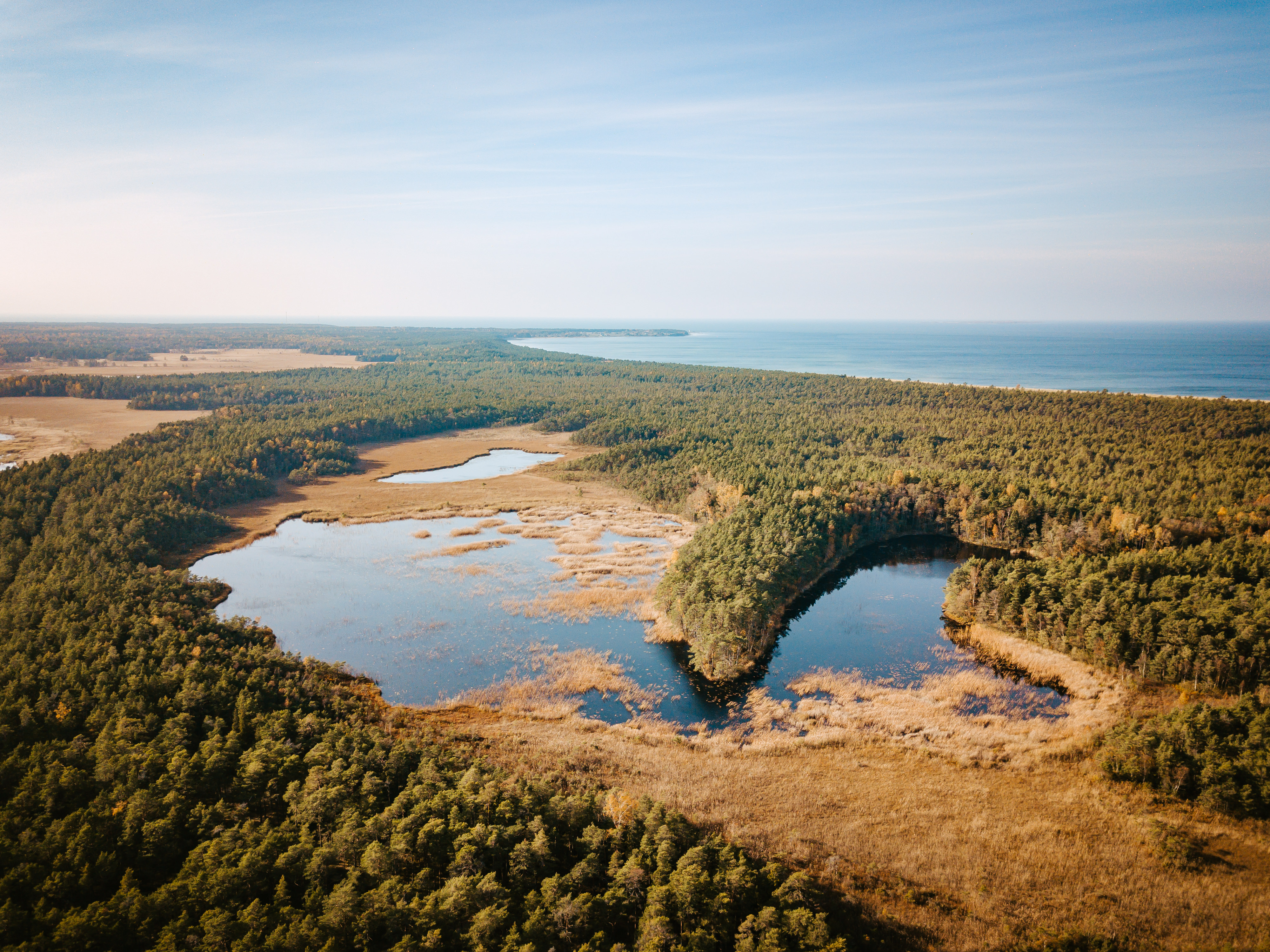Keskkonnanõunik