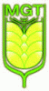 MGT MUUGA GRAIN TERMINAAL OÜ