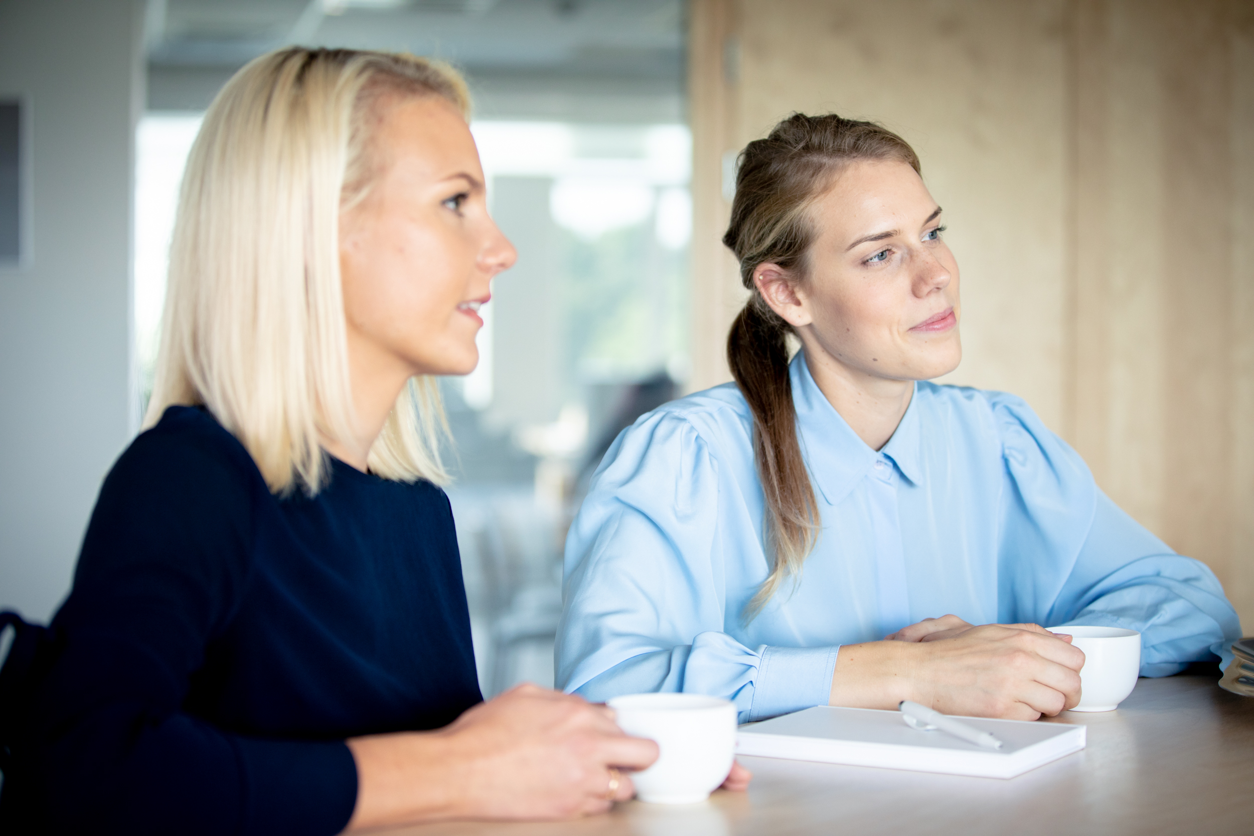 RAAMATUPIDAJA / ACCOUNTANT