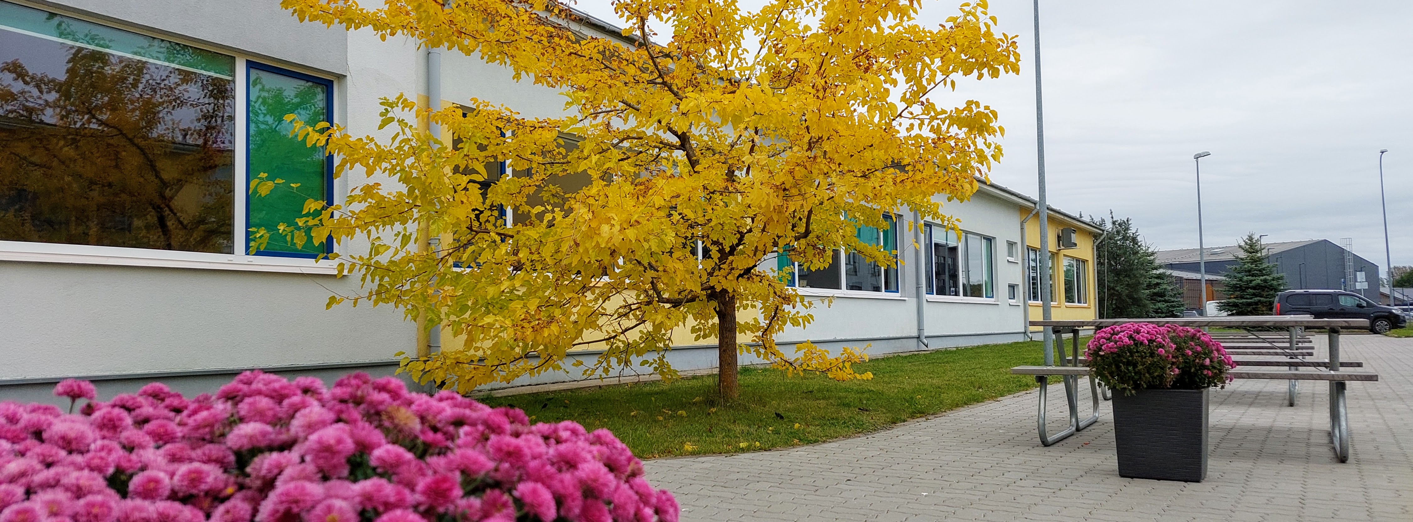 Õpetaja (Laagri Kool)