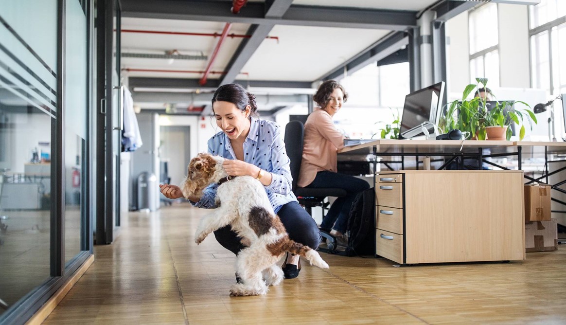 Baltic Product Manager for Commercial Risks