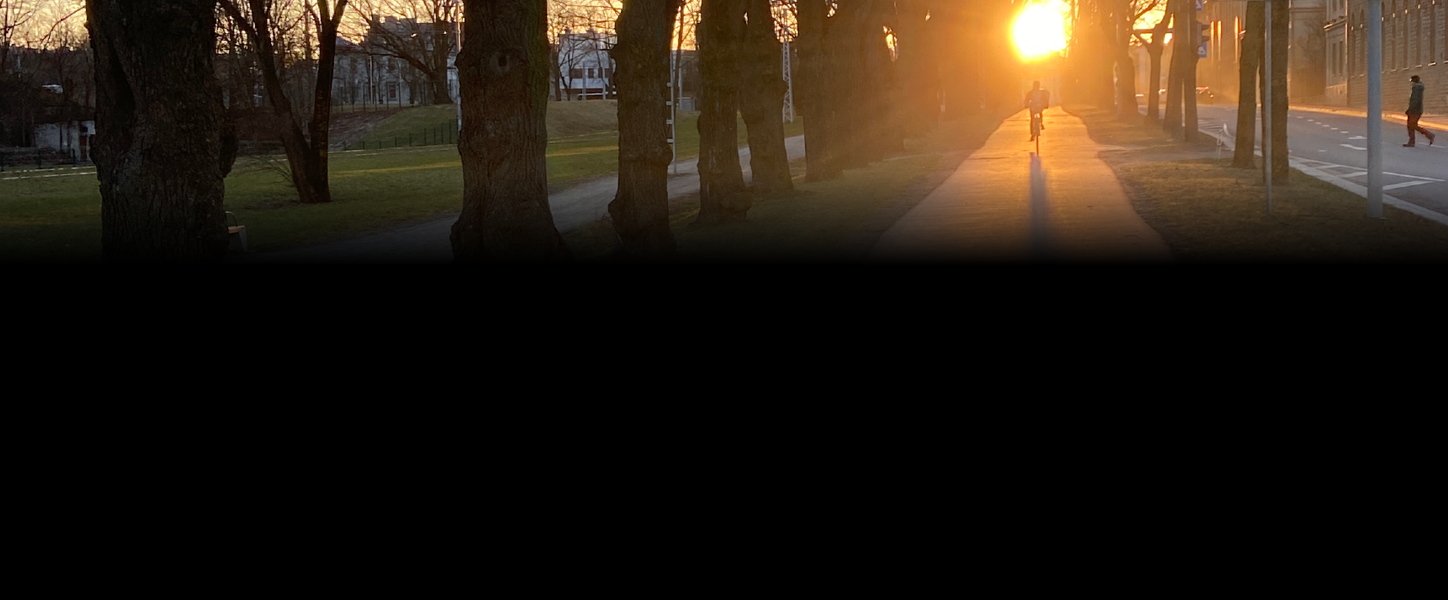 Süsteemianalüütik