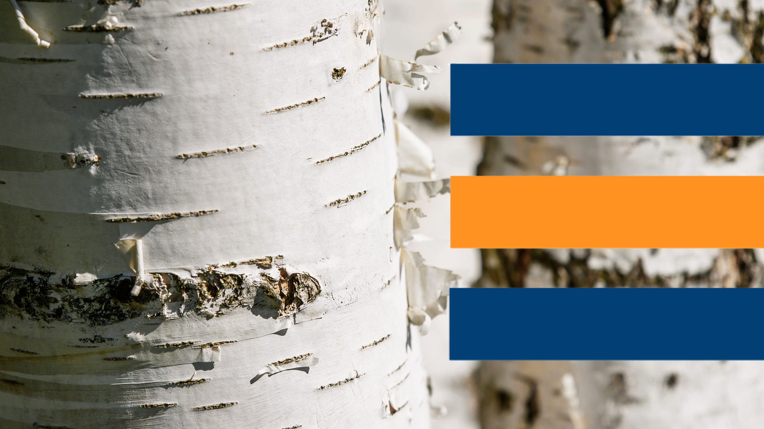 Töökeskkonnaspetsialist