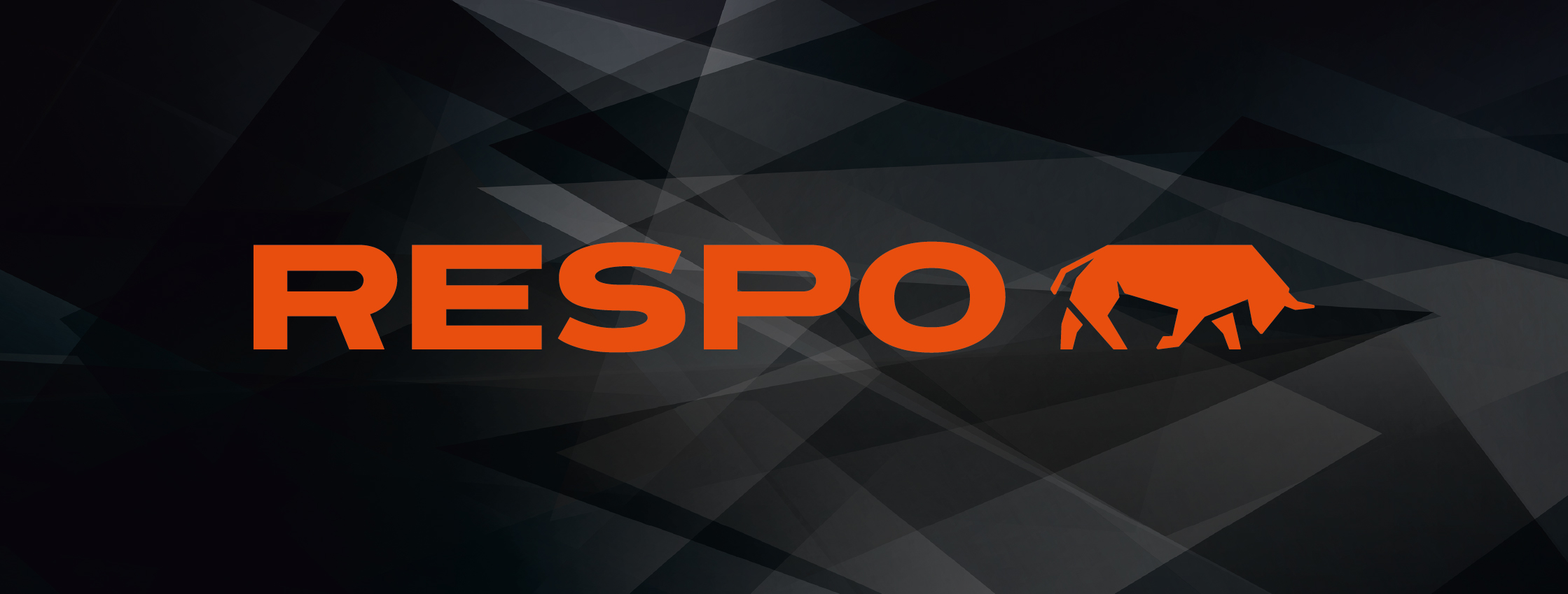 Tehnika-ja haldusjuht