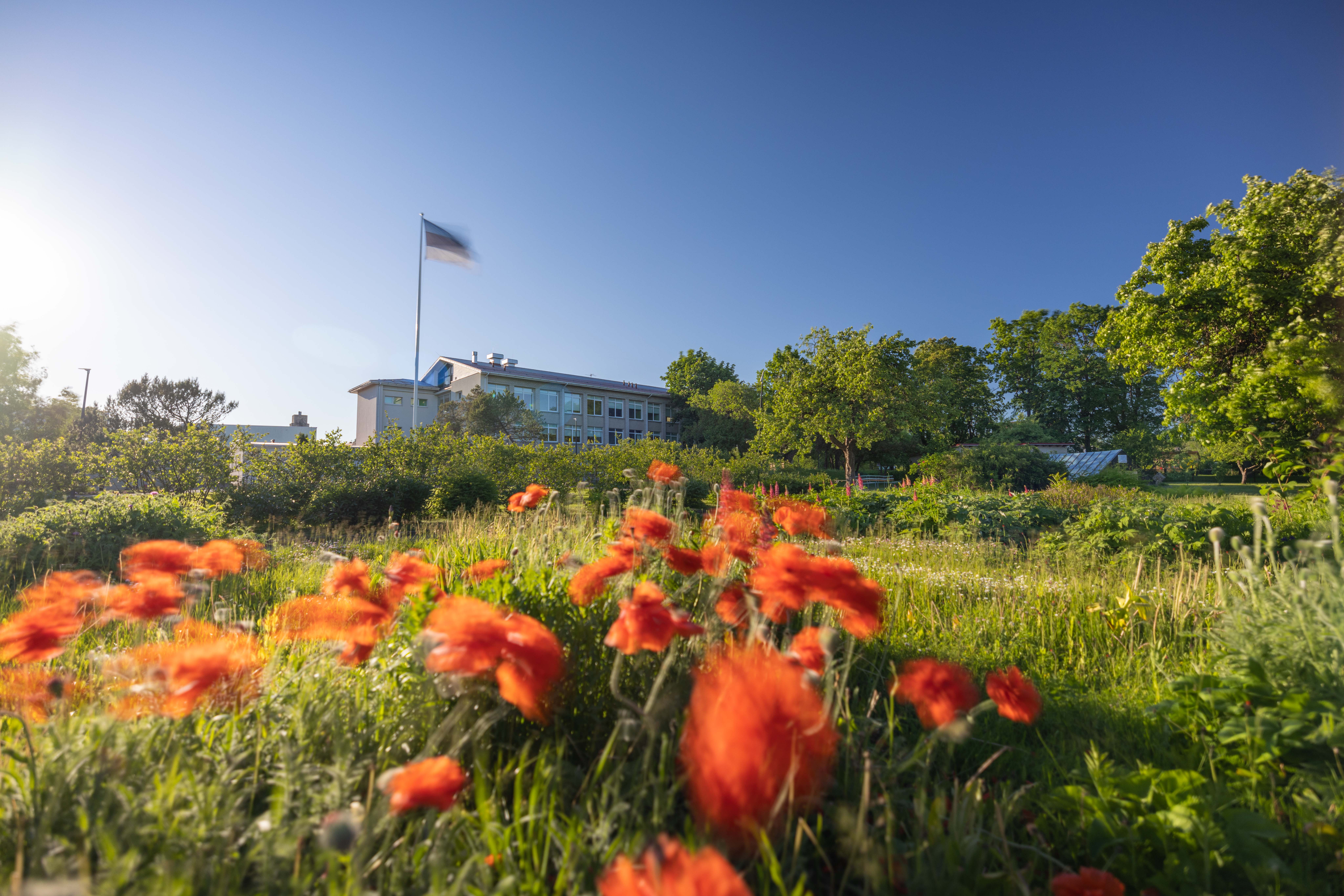 Märjamaa Gümnaasiumi koolipsühholoog