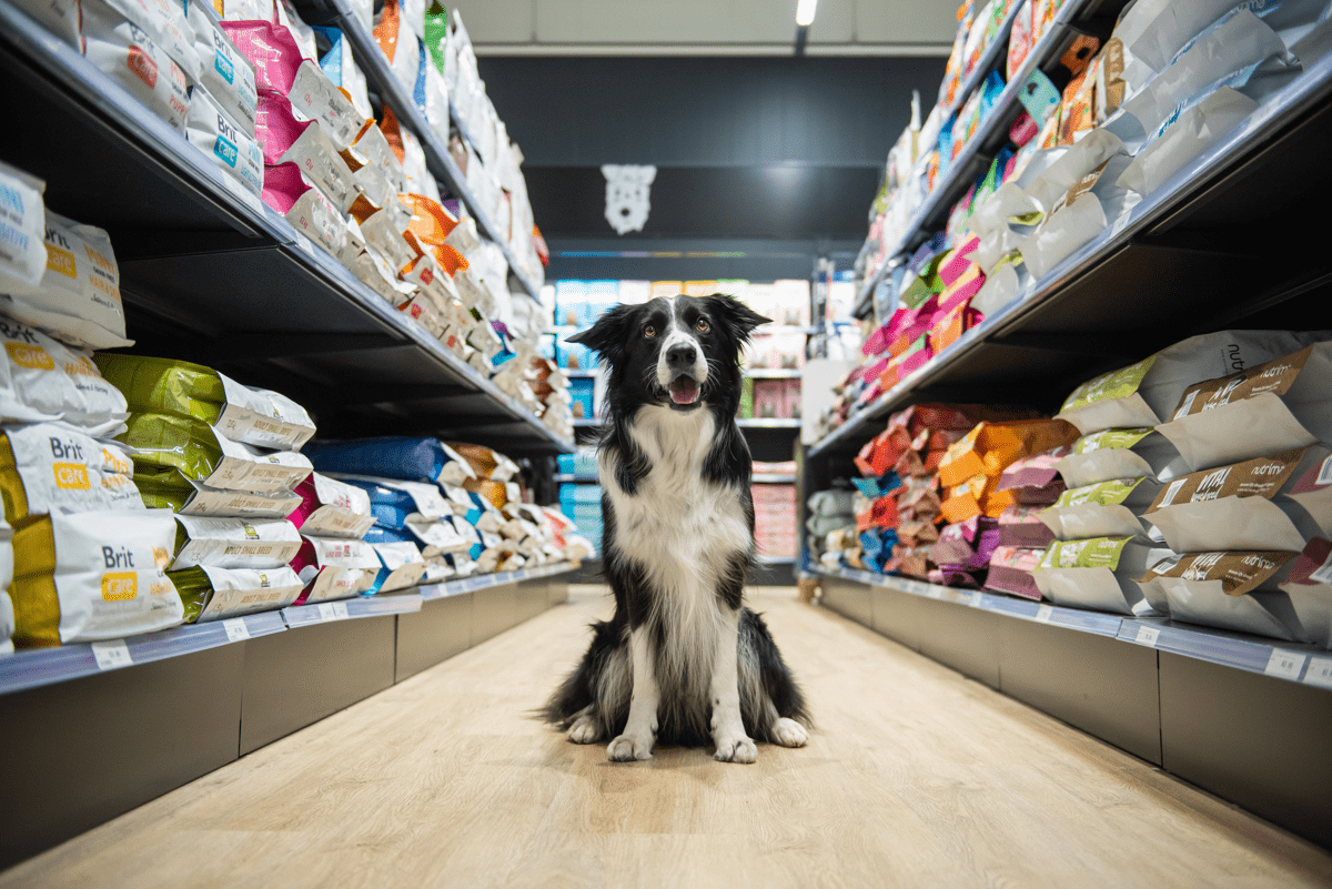 Raadi PetCity klienditeenindaja