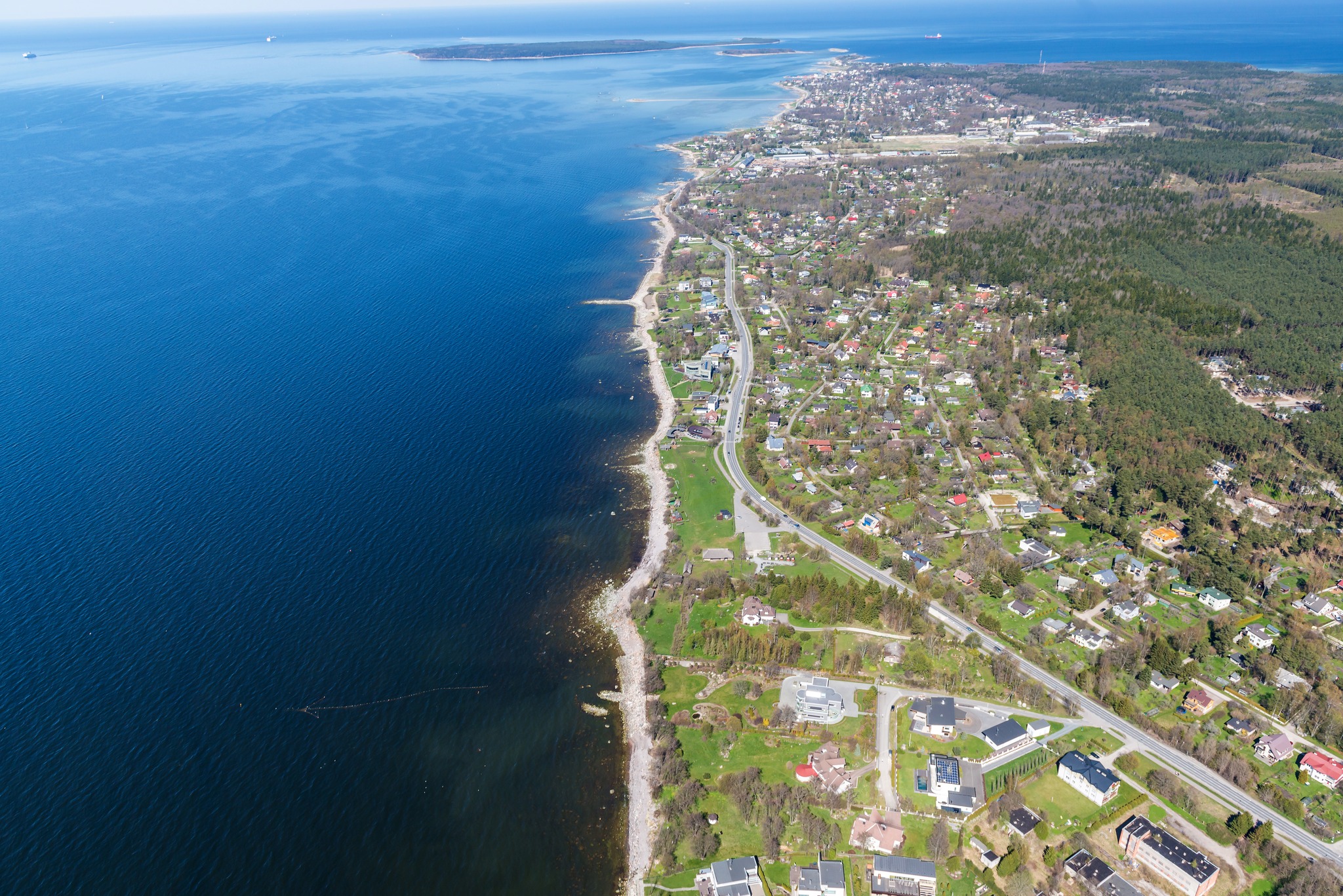 Kinnisvara äriliini juht