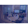 Business Intelligence Analyst