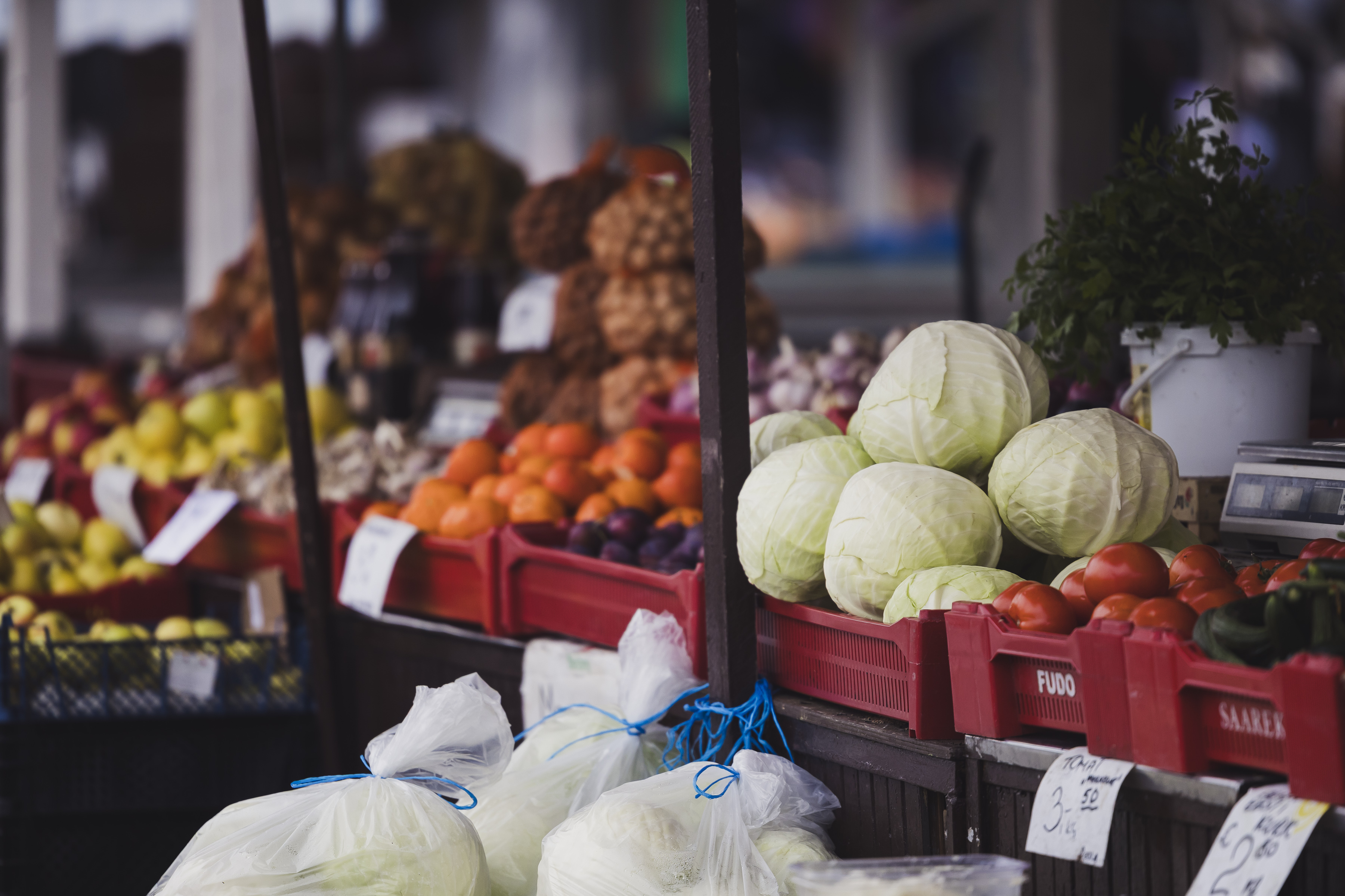 Tegevjuht - tule ja vii ellu arengud, mis kujundavad turu tulevikku!