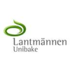 Junior Accountant
