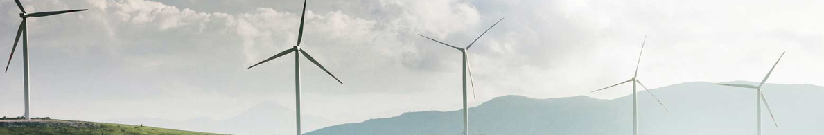 Partnersuhete juht - Baltimaade juhtiv energeetikaettevõte ootab Sind!