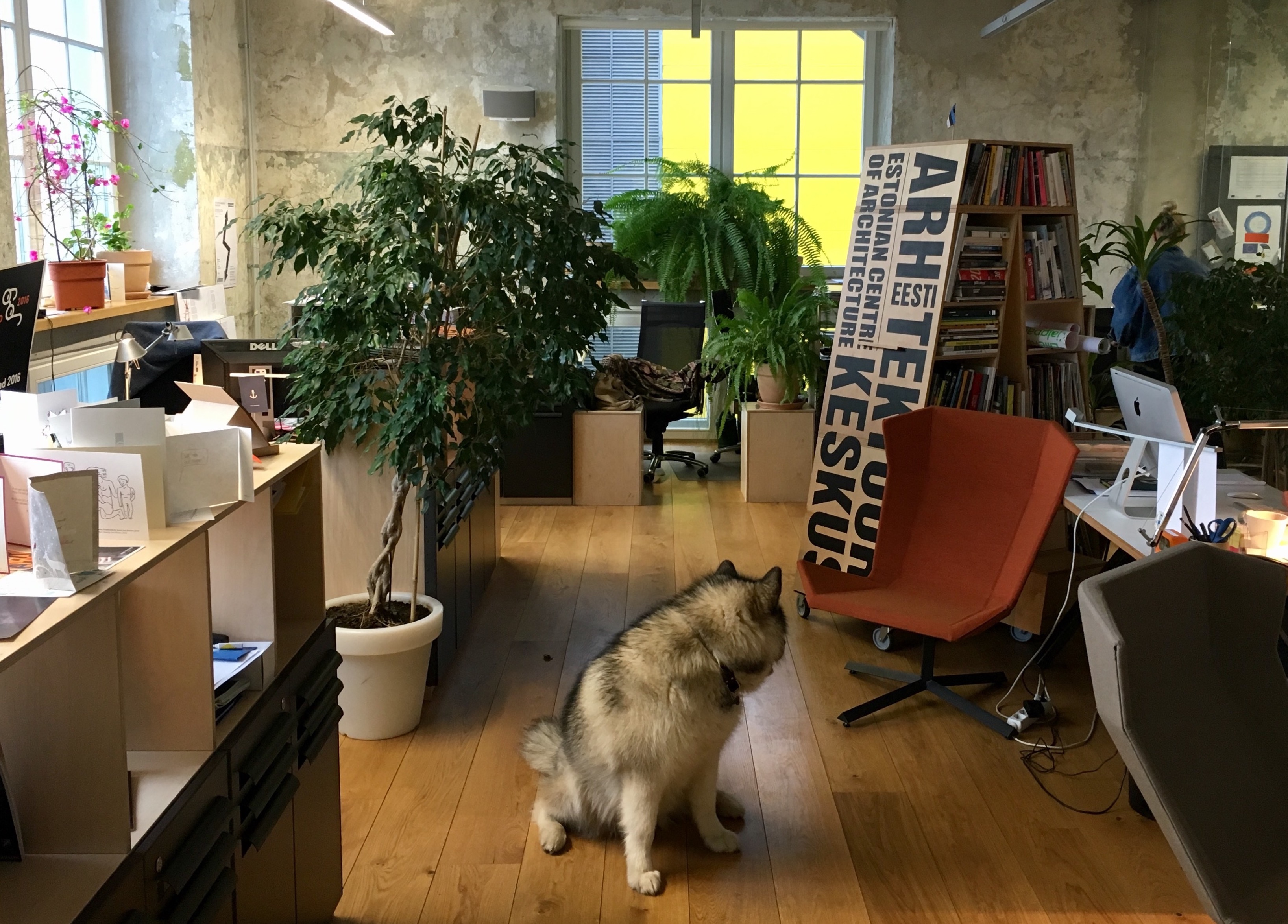 PRODUTSENT