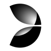 QA Engineer