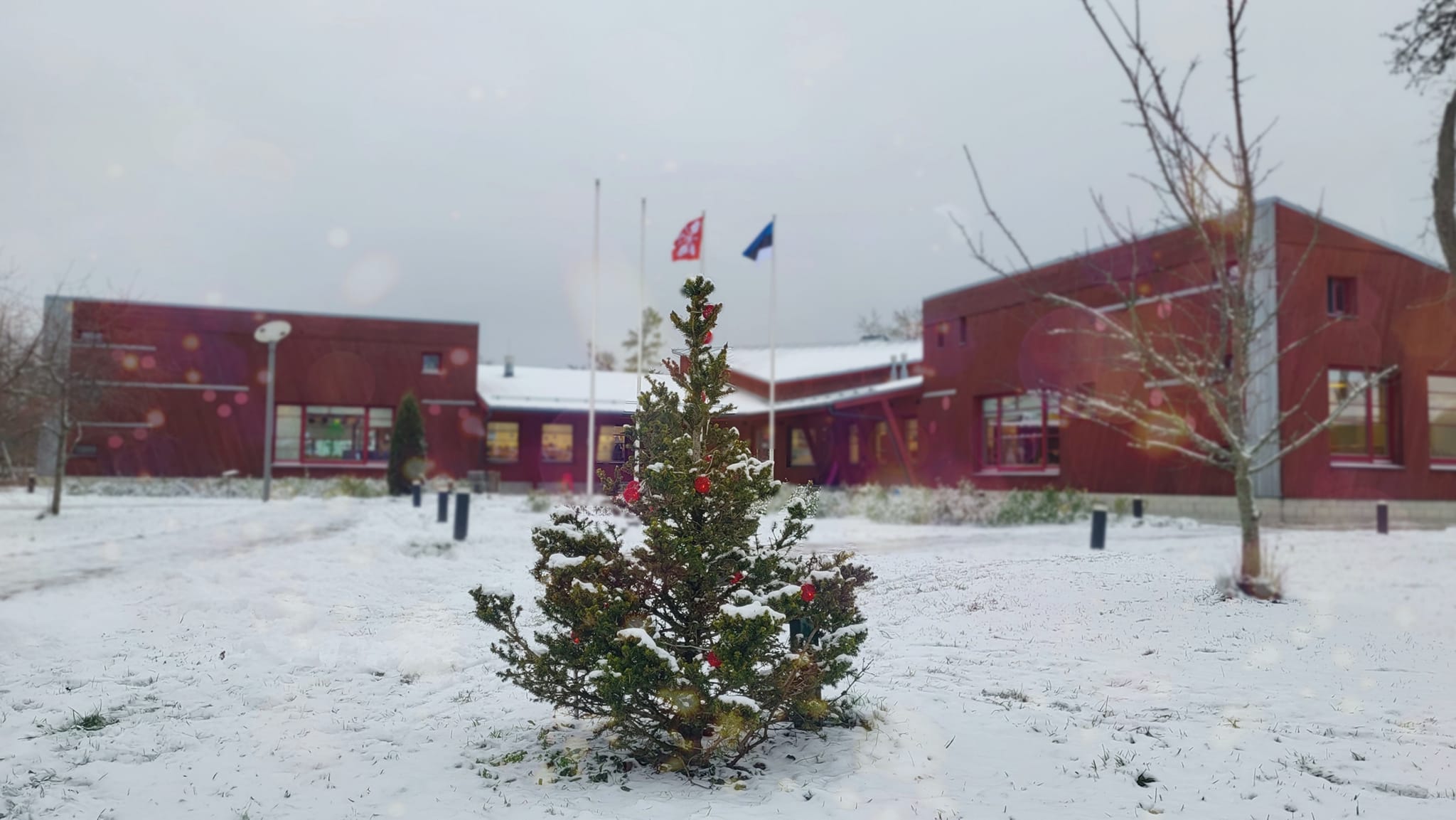 Tugiisik Laitse lasteaeda